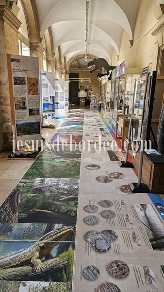 Museum histoire naturelle nimes