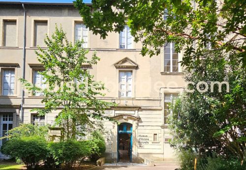 Museum histoire naturelle nimes