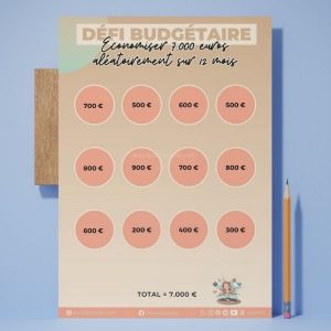 tracker 7000 euros aléatoire 12 mois défi budgétaire