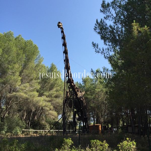 Squelette géant du Brachiosaure de 25 mètres, pièce maîtresse du Musée Parc des Dinosaures de Mèze