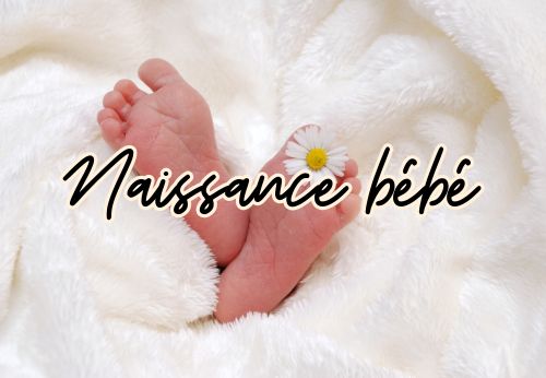 Pieds de nouveau-né sur un plaid blanc moelleux avec une fleur, catégorie naissance bébé