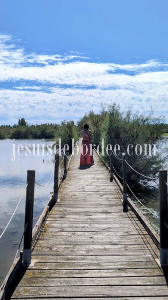 Balade sur le ponton en bois du sentier du Butor, au centre du Scamandre en Petite Camargue